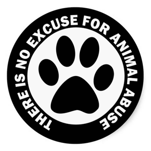 Animal Abuse Awareness