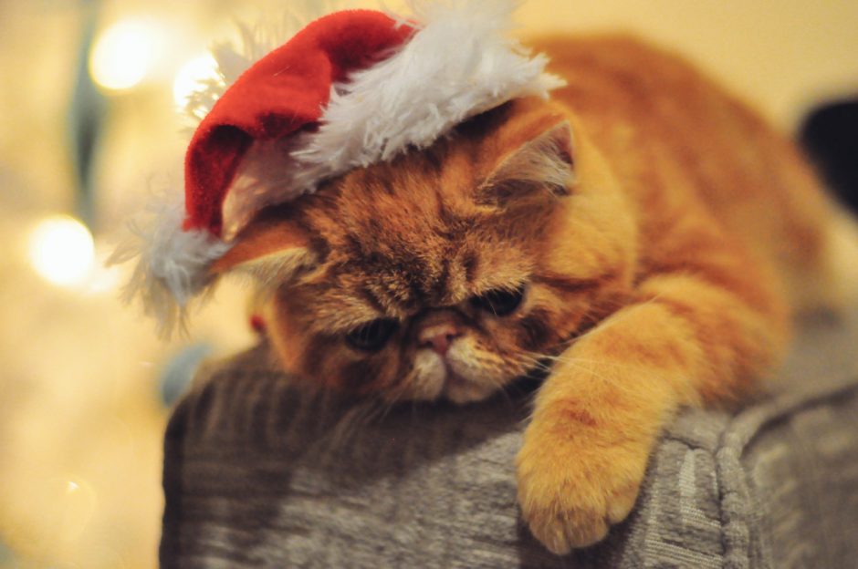 Christmas+Disappointment-Esthefany+Anzaldo