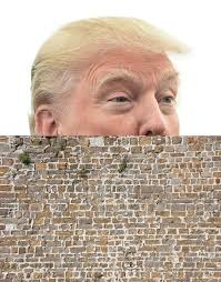 Trump’s wall in progress