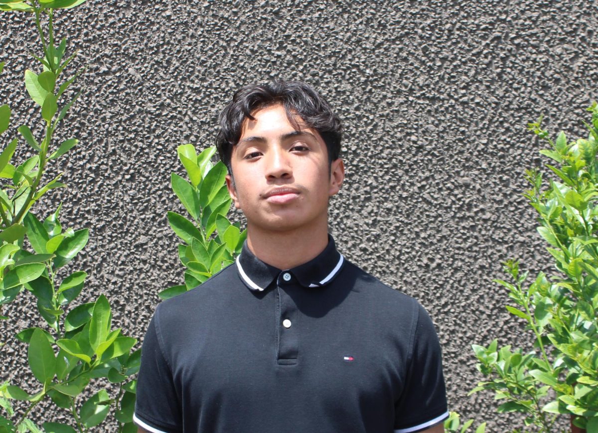 Jose Sanchez