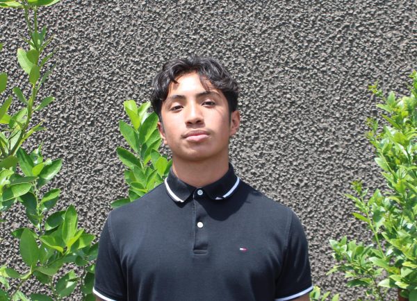 Jose Sanchez